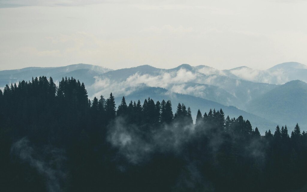 Our environmental protection concept